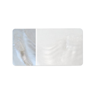 Picture of a Shell. Label