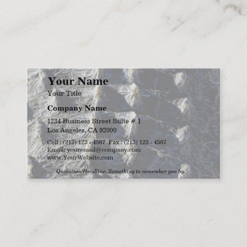 Picture of Aligator, detail Business Card Templates