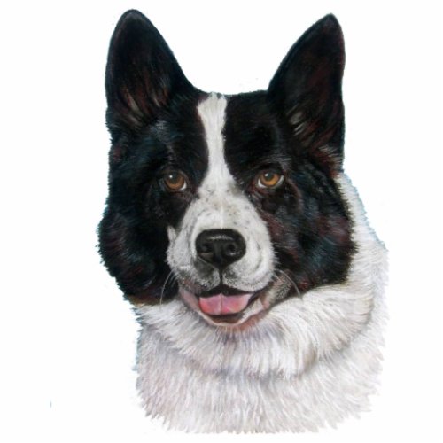 picture of black and white bear dog cutout