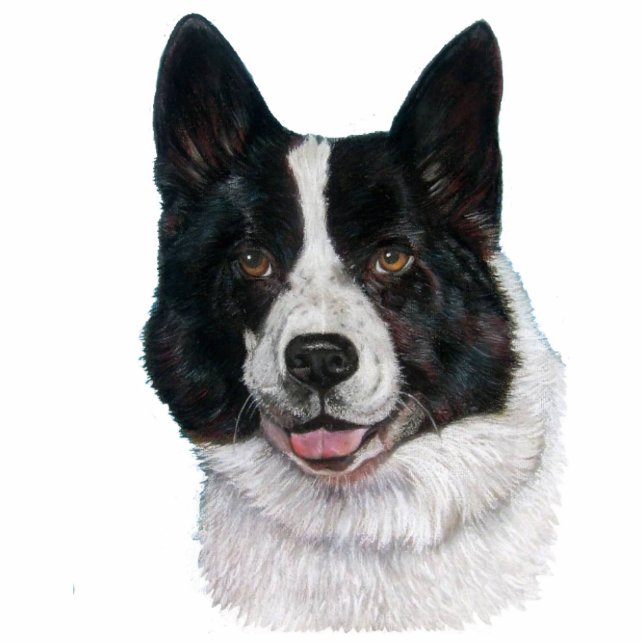 picture of black and white bear dog cutout (Front)