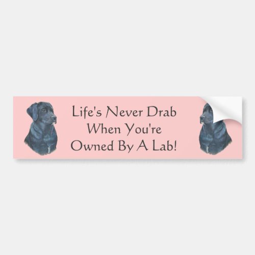 picture of black labrador dog with fun slogan bumper sticker