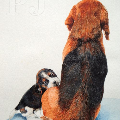 picture of cute puppy beagle cuddling mum dog baby blanket