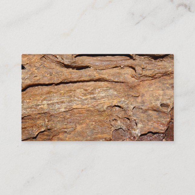 Picture of Fossilized Wood. Business Card (Front)