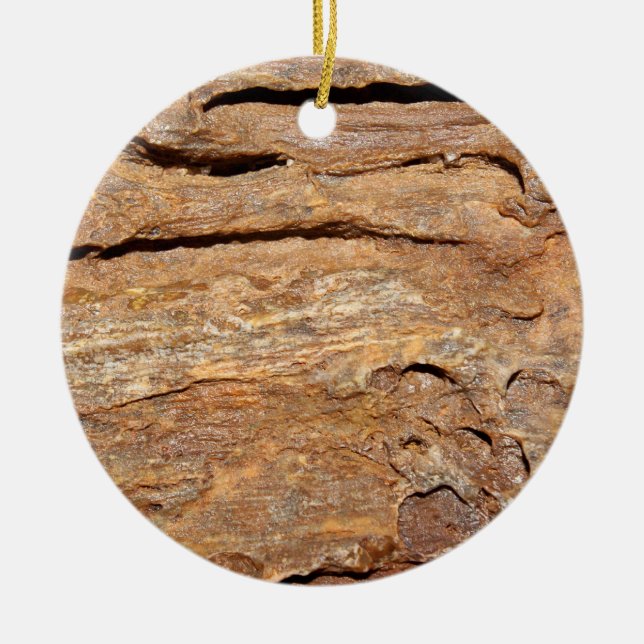 Picture of Fossilized Wood. Ceramic Ornament (Front)