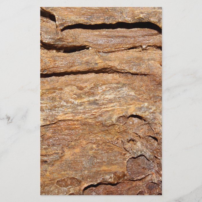 Picture of Fossilized Wood. Flyer Design