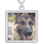 Picture of German Shepherd Business Card Silver Plated Necklace