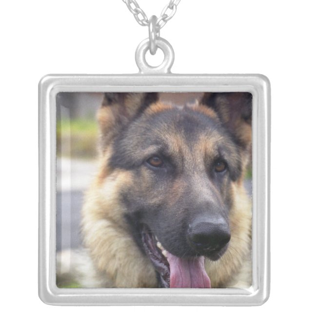 Picture of German Shepherd Business Card Silver Plated Necklace (Front)