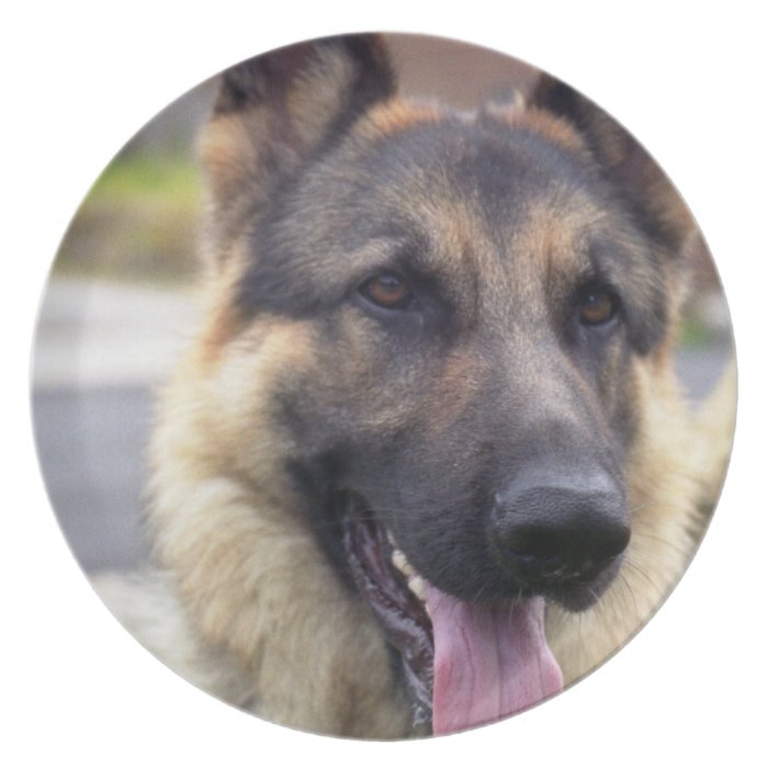 Picture of German Shepherd Plate