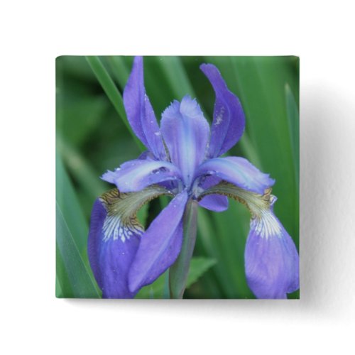 Picture of Iris Square Pin