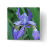 Picture of Iris Square Pin