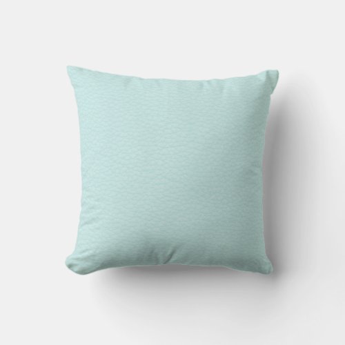 Picture of Light Turquoise Leather Throw Pillow