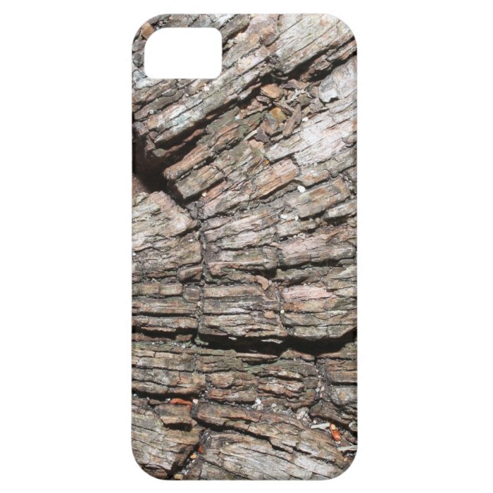 Picture of Old Tree Stump Wood iPhone 5 Covers