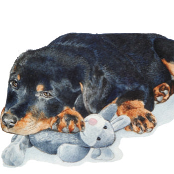Picture Of Puppy Cuddling Teddy Rottweiler Dog Bowl by artoriginals at Zazzle