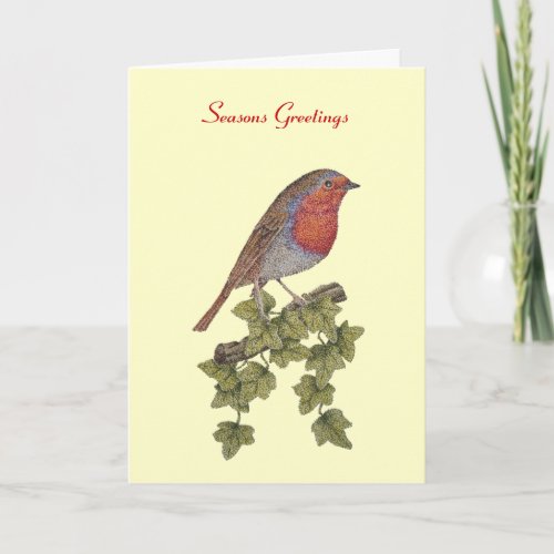 picture of robin perched on ivy leaf christmas holiday card