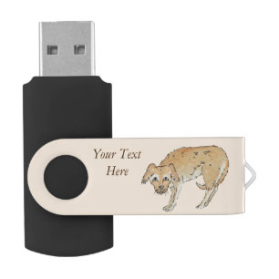 picture of scruffy brown mixed breed dog flash drive