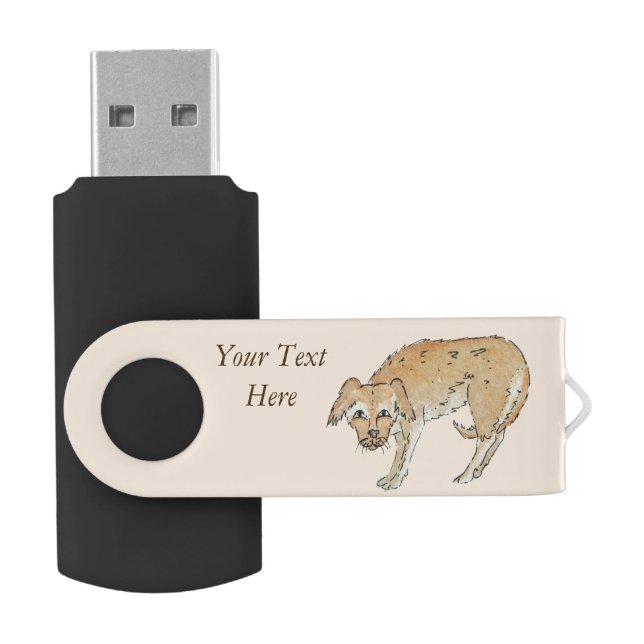 picture of scruffy brown mixed breed dog flash drive (Opened)