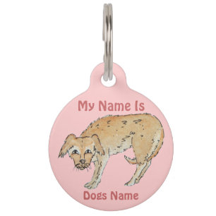 picture of scruffy mixed breed dog pet ID tag