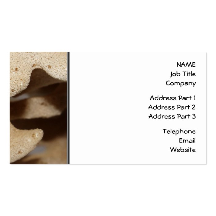 Picture of Sea Sponge. Business Card Templates