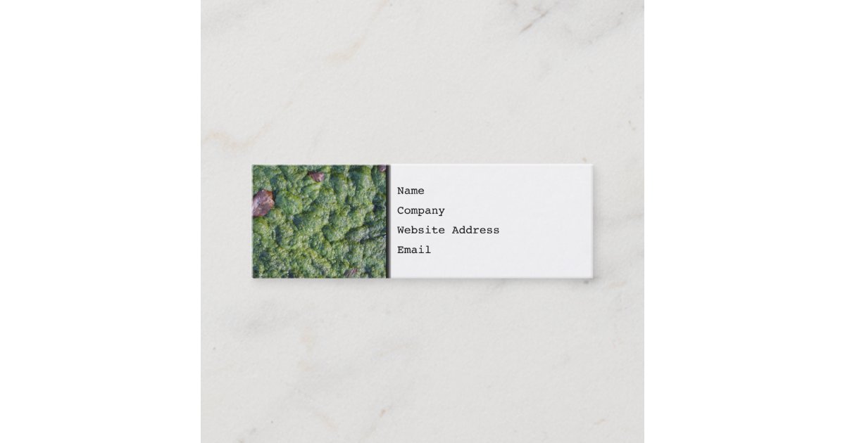 Picture of Slime. Mini Business Card