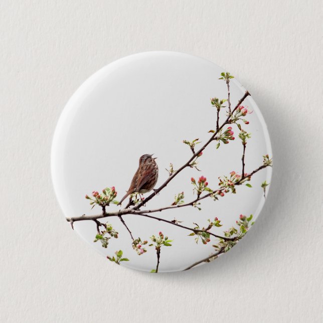 Picture of Sparrow Singing in Flowering Tree Pinback Button (Front)
