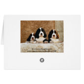 Picture Perfect Cute Puppies (Back Horizontal)