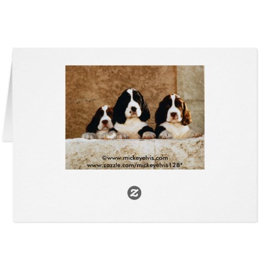 Picture Perfect Cute Puppies (Back Horizontal)