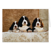 Picture Perfect Cute Puppies (Front Horizontal)