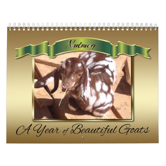 Picture Perfect Photo Calendar Beautiful Goats (Cover)