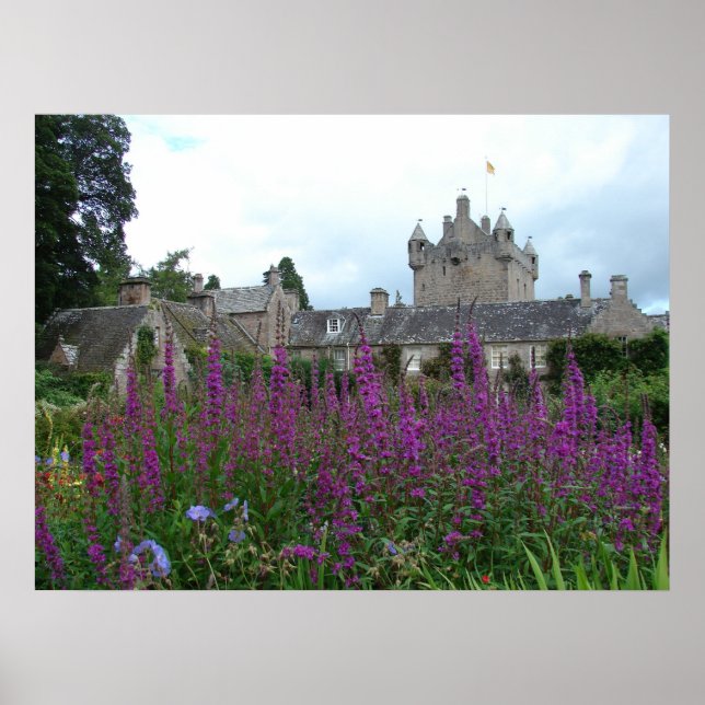 Picture Purple Poster (Front)