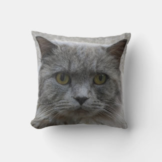 Picture sad adult gray cat,rare breed, cat lovers throw pillow