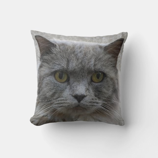 Picture sad adult gray cat,rare breed, cat lovers throw pillow (Front)