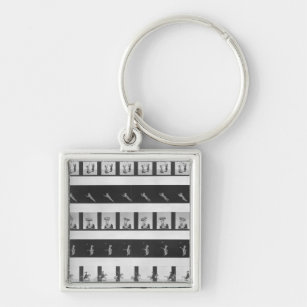 Picture strips for a praxinoscope keychain