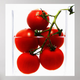 Picture tomatoes in glass Abstract still life Poster