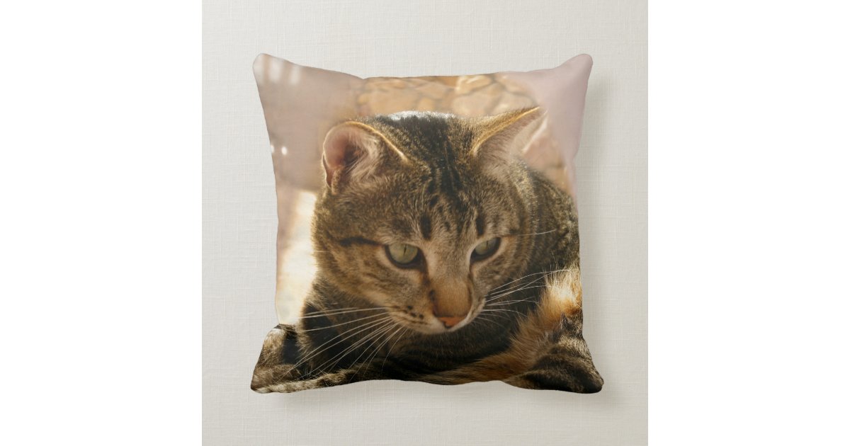 throw pillows with cats on them