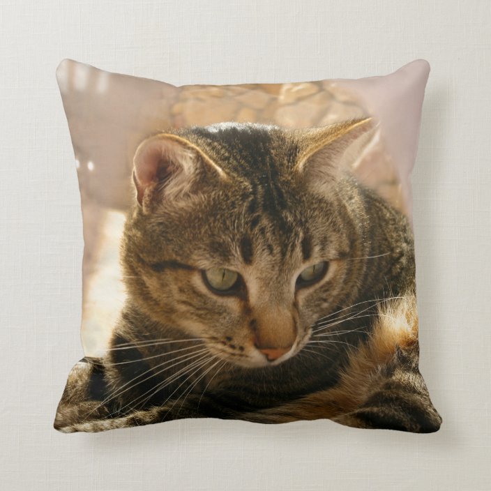 christmas pillows with cats