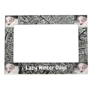 Pictures of Cute White Dog Having Lazy Winter Day  Magnetic Frame