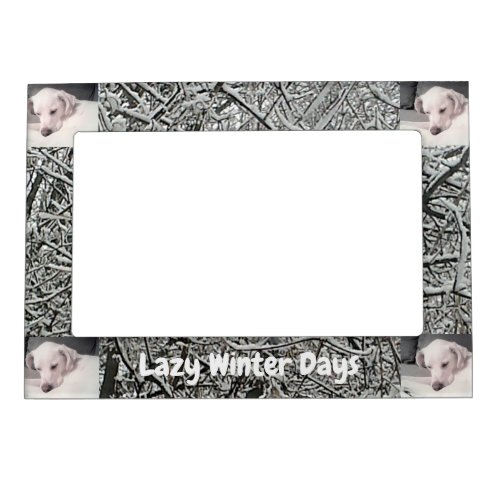 Pictures of Cute White Dog Having Lazy Winter Day  Magnetic Frame