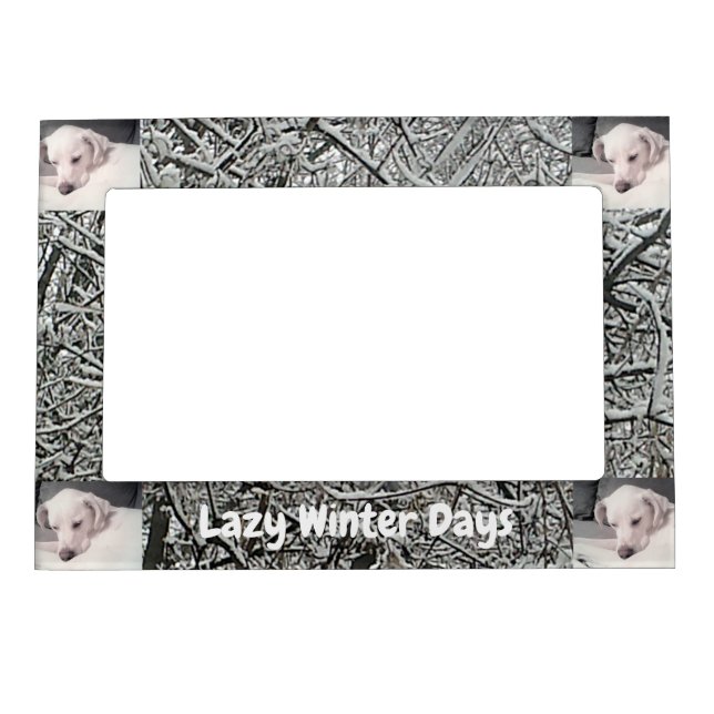 Pictures of Cute White Dog Having Lazy Winter Day  Magnetic Frame (Front)