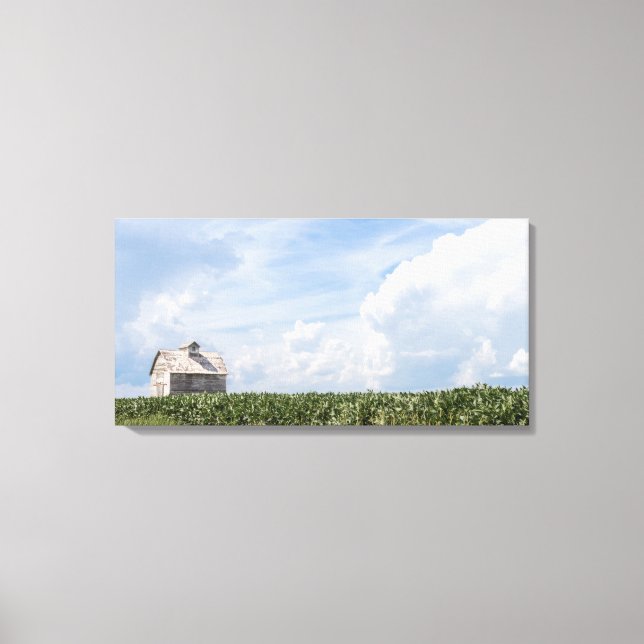 Pictures of Old Barns Series - Summer Corn Fields Canvas Print (Front)