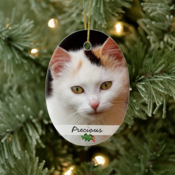 Pictures Of Pets  Double-sided Ornament by holiday_store at Zazzle
