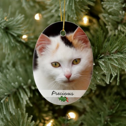 Pictures of Pets Double_Sided Ornament