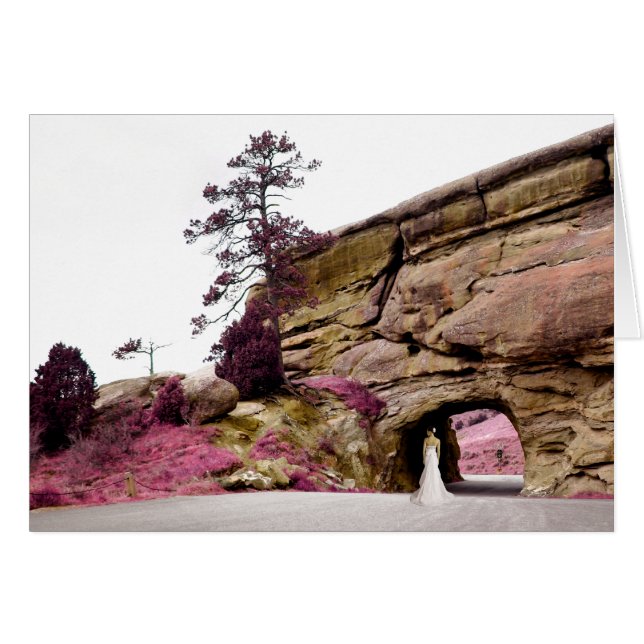picturesque bride : elegant tunnel cards (Front Horizontal)