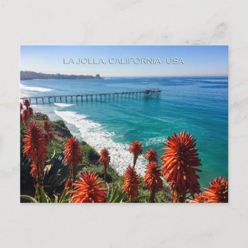 Picturesque La Jolla California Postcard