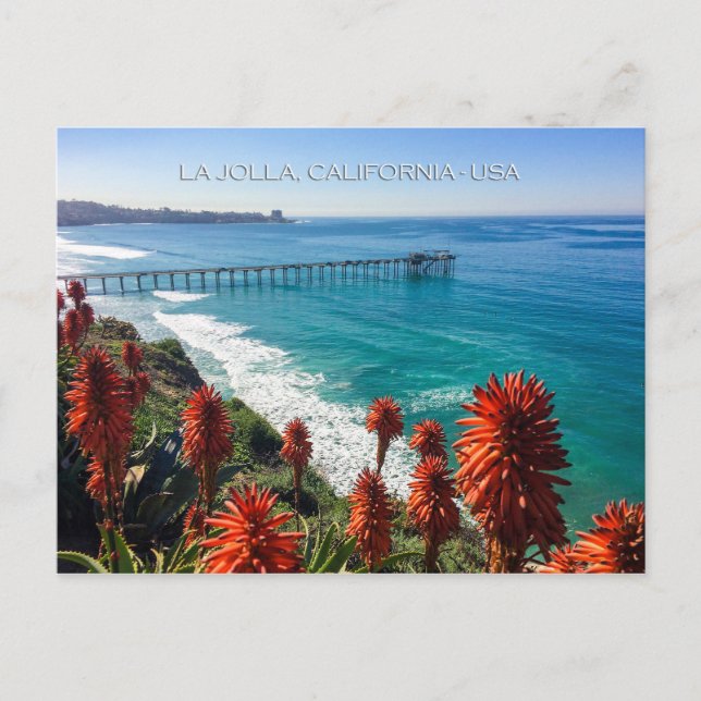 Picturesque La Jolla, California Postcard (Front)