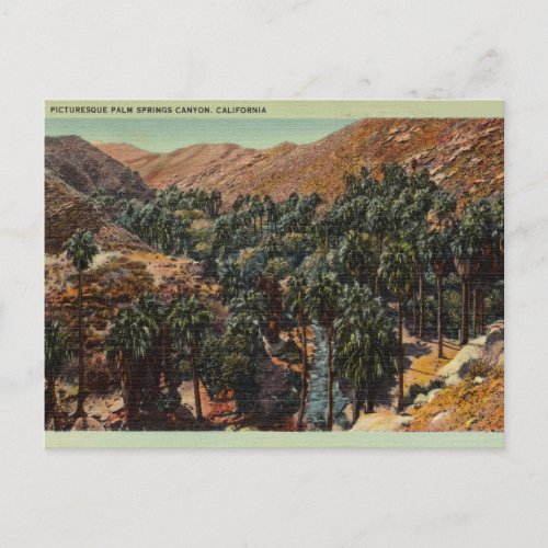 Picturesque Palm Springs Canyon California Postcard
