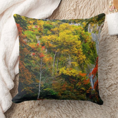 Picturesque View of Fall Hagoromo Falls Hokkaido   Throw Pillow