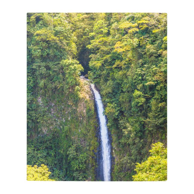 Picturesque View of Green Golden Waterfall Metal Print (Front)
