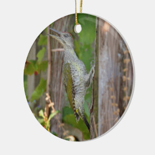 Picus Viridis - Grünspecht Ceramic Ornament