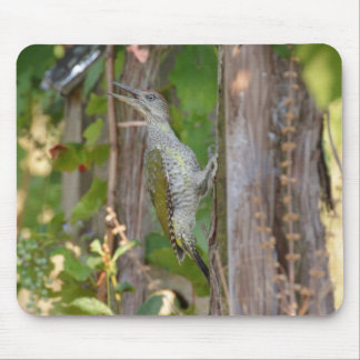 Picus Viridis - Grünspecht Mouse Pad