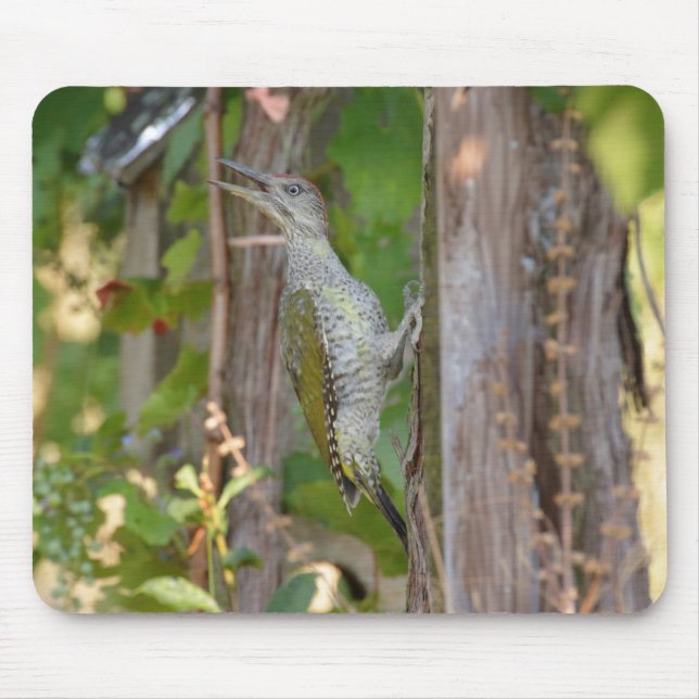 Picus Viridis - Grünspecht Mouse Pad (Front)